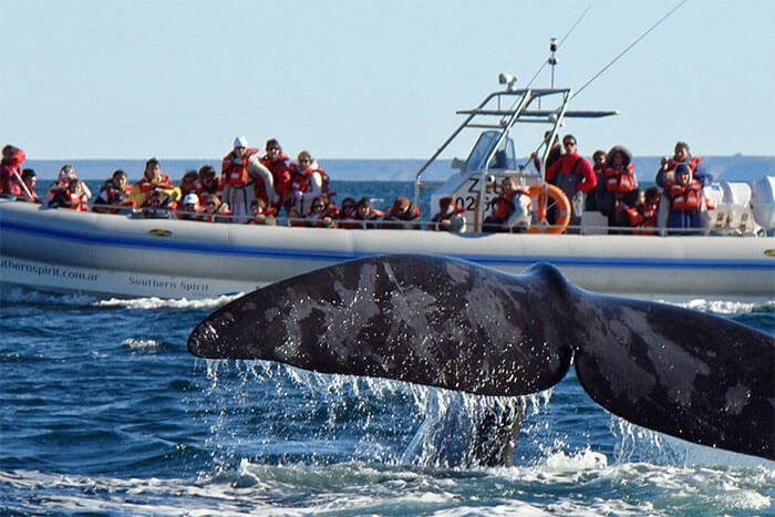 agencias de viajes puerto madryn